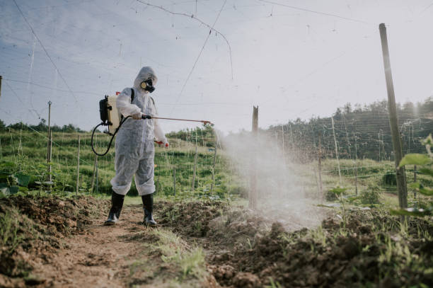 Best Best Pest Control Companies  in Sebewaing, MI
