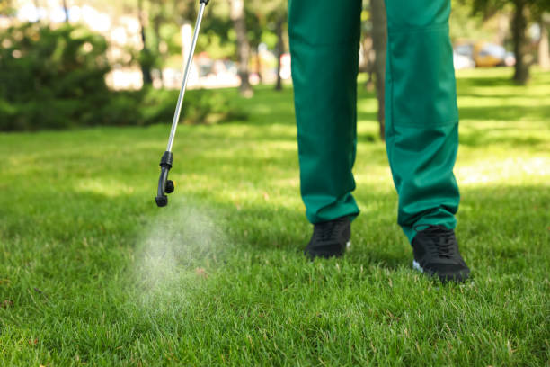 Best Residential Pest Control  in Sebewaing, MI
