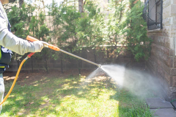 Best Pest Removal Services  in Sebewaing, MI