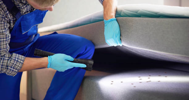 Best Emergency Pest Control  in Sebewaing, MI