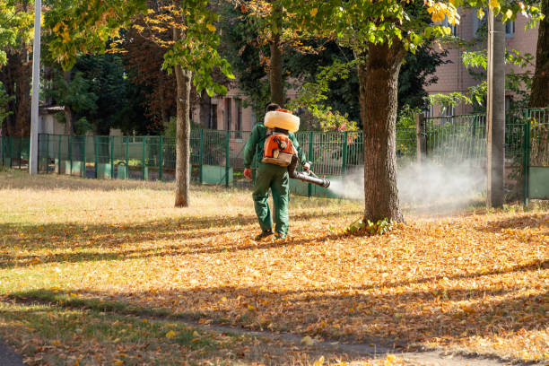 Best Cockroach Control Services  in Sebewaing, MI